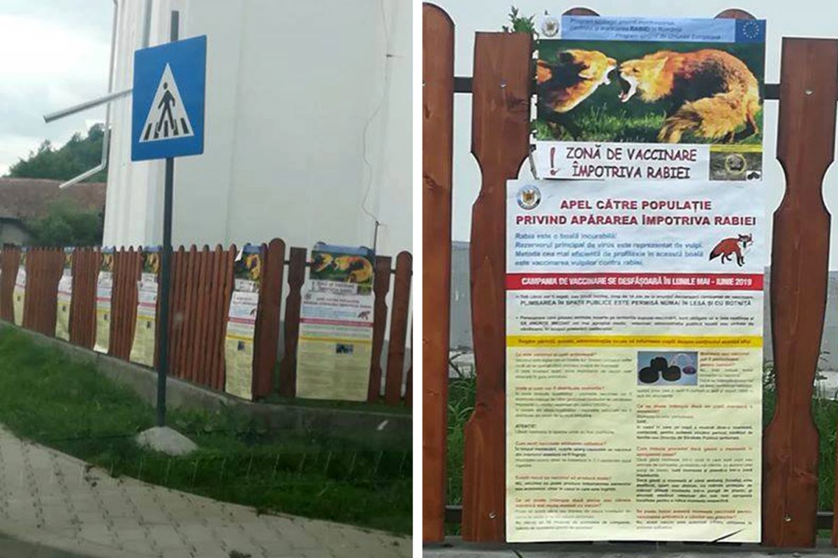 Hogy biztosan eljusson az üzenet... •  Fotó: Facebook