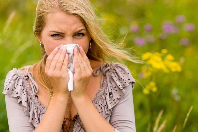 Ha újra itt a nyár, és meleg az idő – nyári allergiás körkép (x)