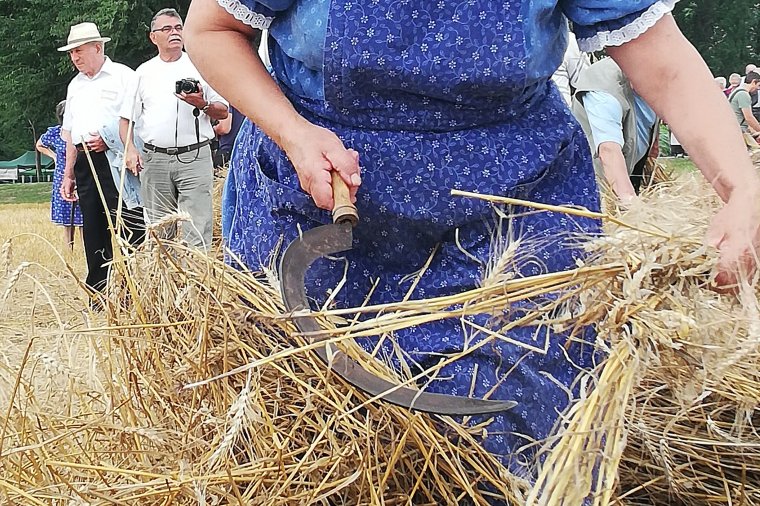 Sarlós Boldogasszony ünnepe van ma
