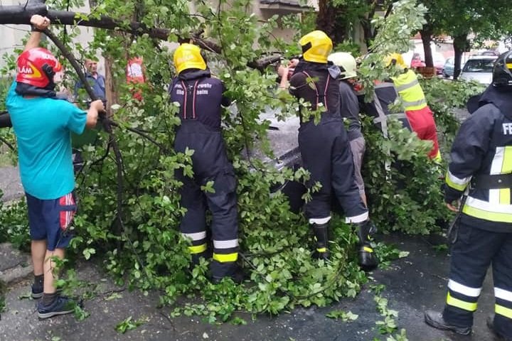 Parkoló autóra dőlt egy fa Székelykeresztúron
