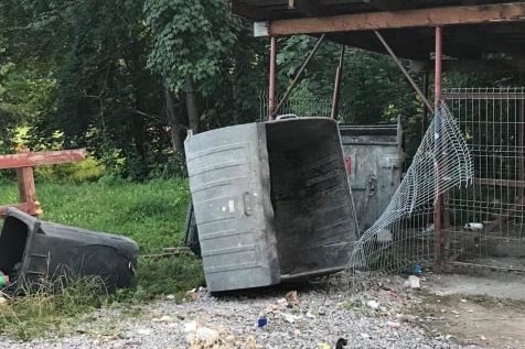 A medve felfeszítette a gyerektábor előtt található szemeteskukát •  Fotó: Facebook