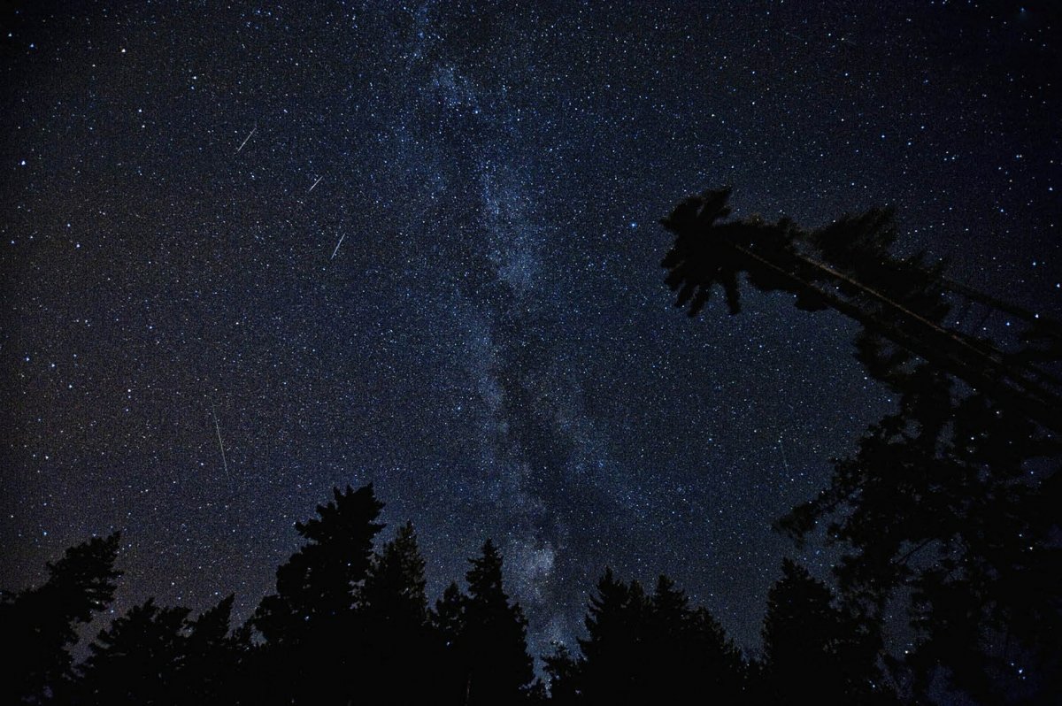 Képünk illusztráció •  Fotó: Pixabay.com