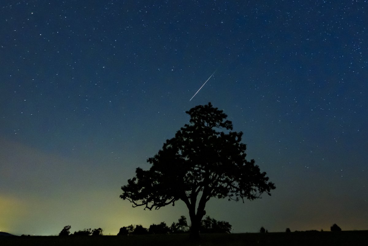Idén augusztus 12-re várható a Perseidák tetőződése •  Fotó: Komka Péter/MTI