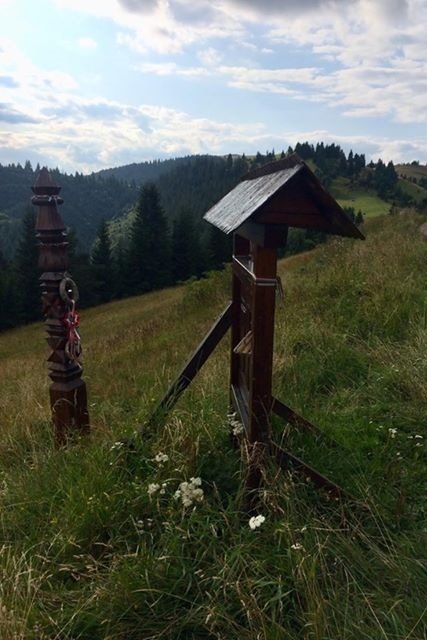 •  Fotó: Olvasónk