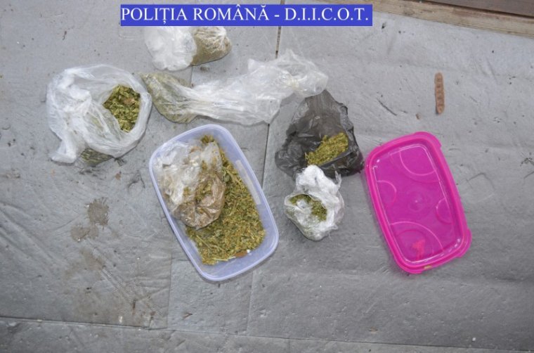 Kokain, vadkender, ecstasy – minden előkerült a házkutatás során