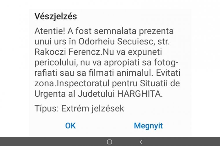 Székelyudvarhelyen jár a medve – figyelmeztet a Ro-Alert