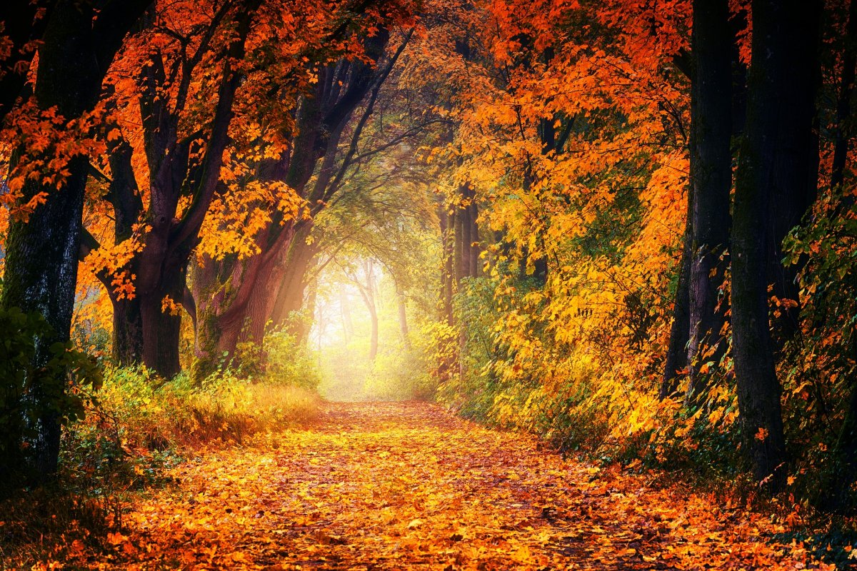 Szép, az ilyenkor megszokottnál melegebb időjárással búcsúzik szeptember •  Fotó: Pixabay