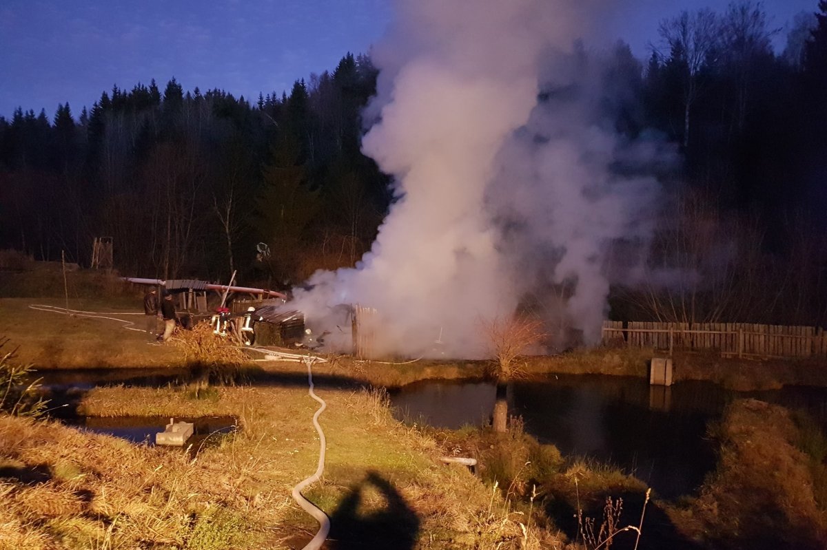 •  Fotó: Szentegyházi tűzoltók