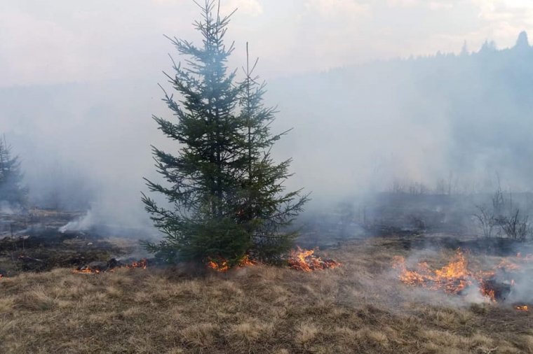 Az erdőt fenyegeti az elharapózó avartűz