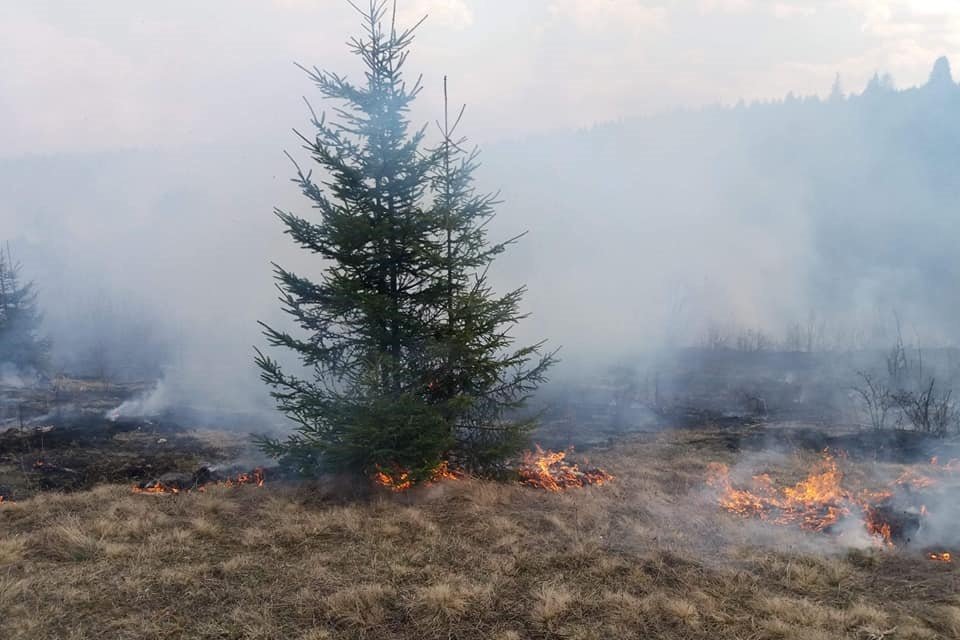 •  Fotó: Hargita megyei tűzoltóság