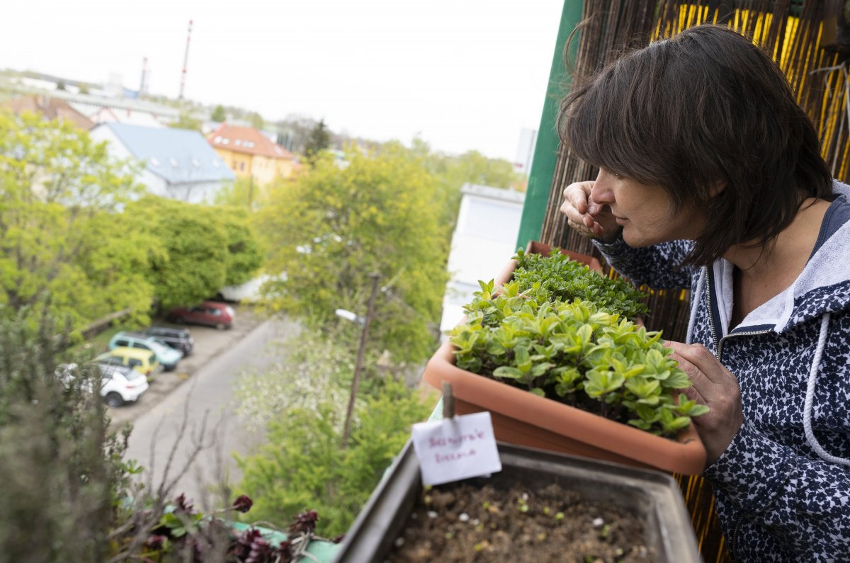•  Fotó: Balázs Attila/MTI