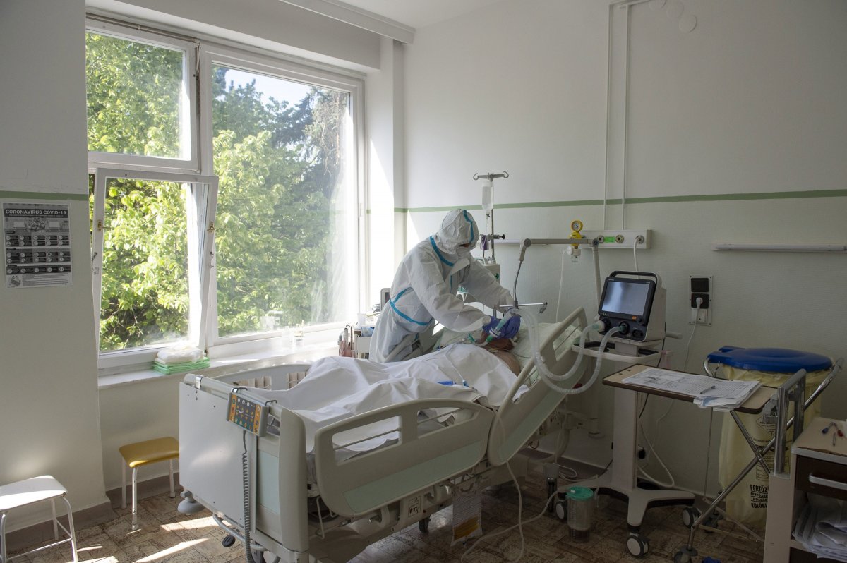 Képünk illusztráció •  Fotó: Árvai Károly/MTI