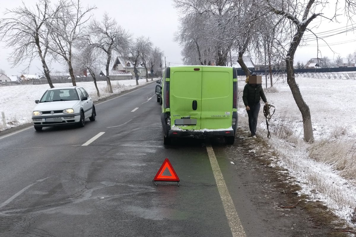 •  Fotó: Olvasónk felvétele