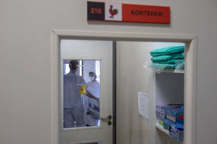Közveszélyesek lehetnek a hazamenekülő, de az otthoni elszigetelődésre fittyet hányó betegek