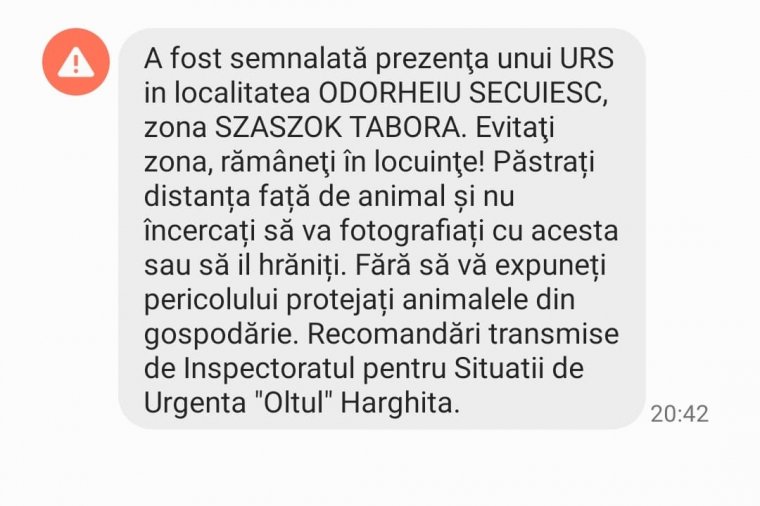 Medve a székelyudvarhelyi Szászok táborában