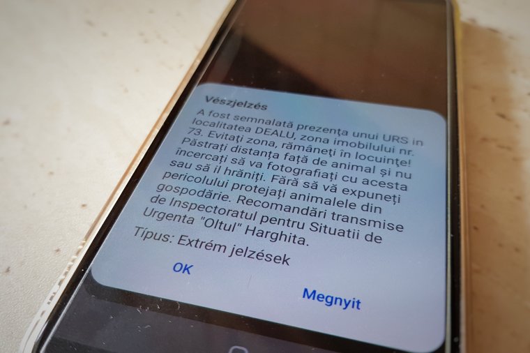 Maradj otthon, ezúttal medve miatt