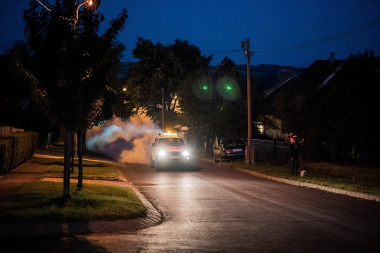 Szúnyogirtás lesz Sepsiszentgyörgyön