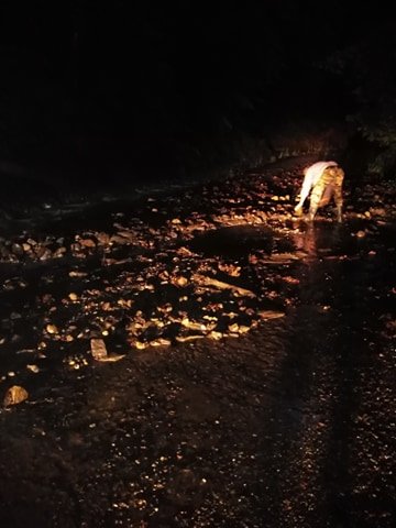 &bullet;  Fotó: Bónis Ferenc