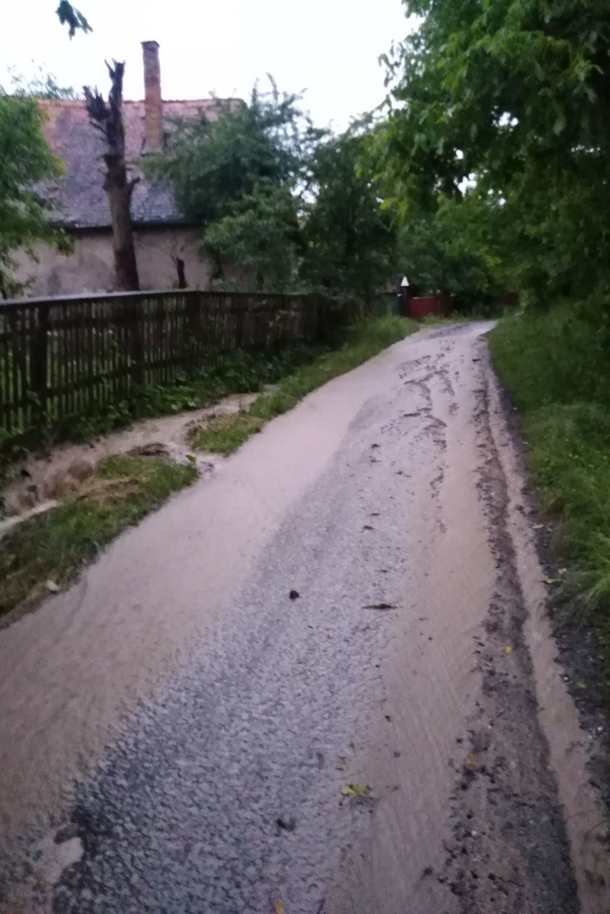 &bullet;  Fotó: Bónis Ferenc