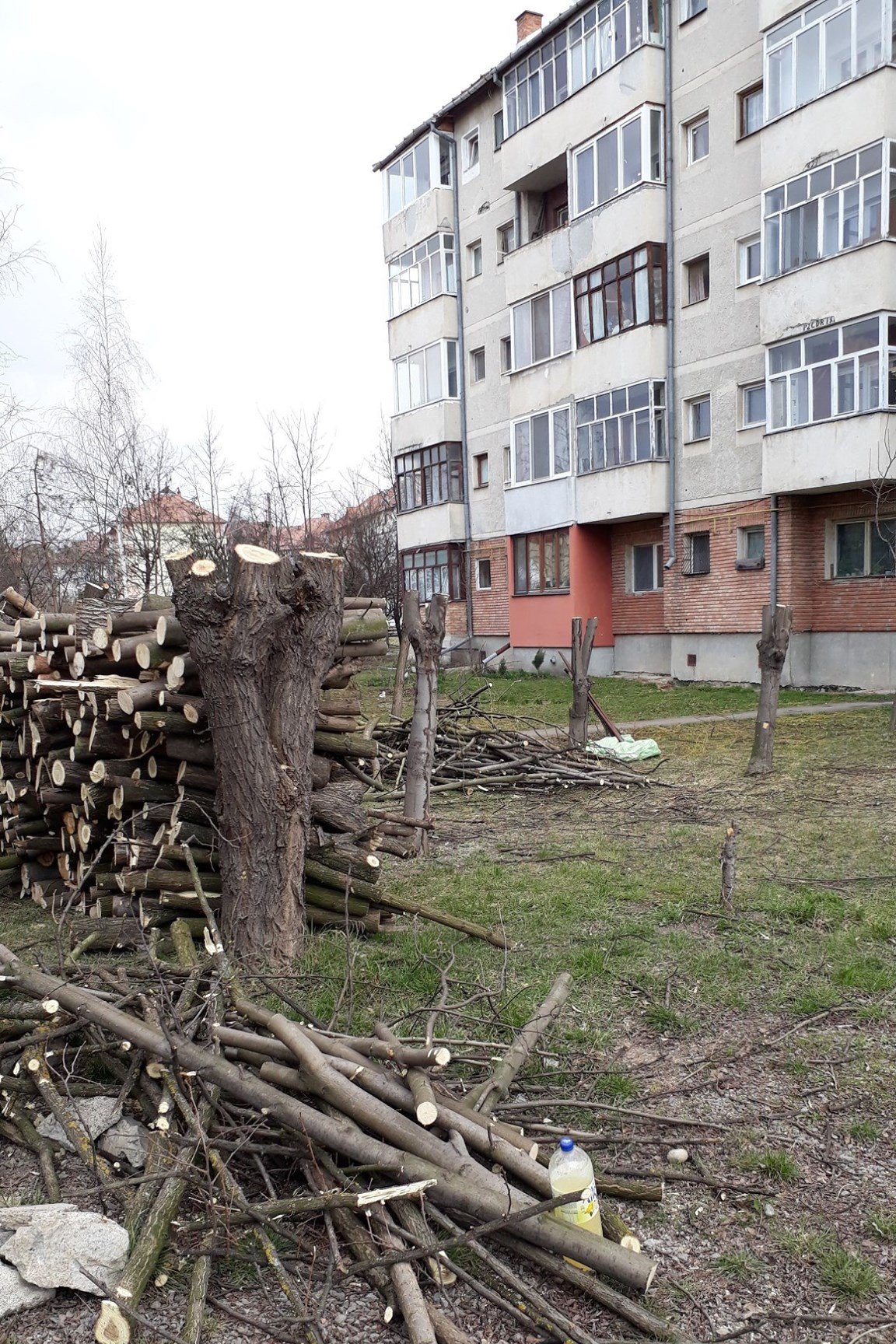 •  Fotó: Hargita Megyei Környezetőrség