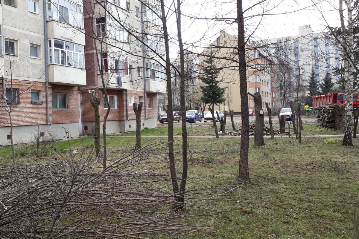 •  Fotó: Hargita Megyei Környezetőrség