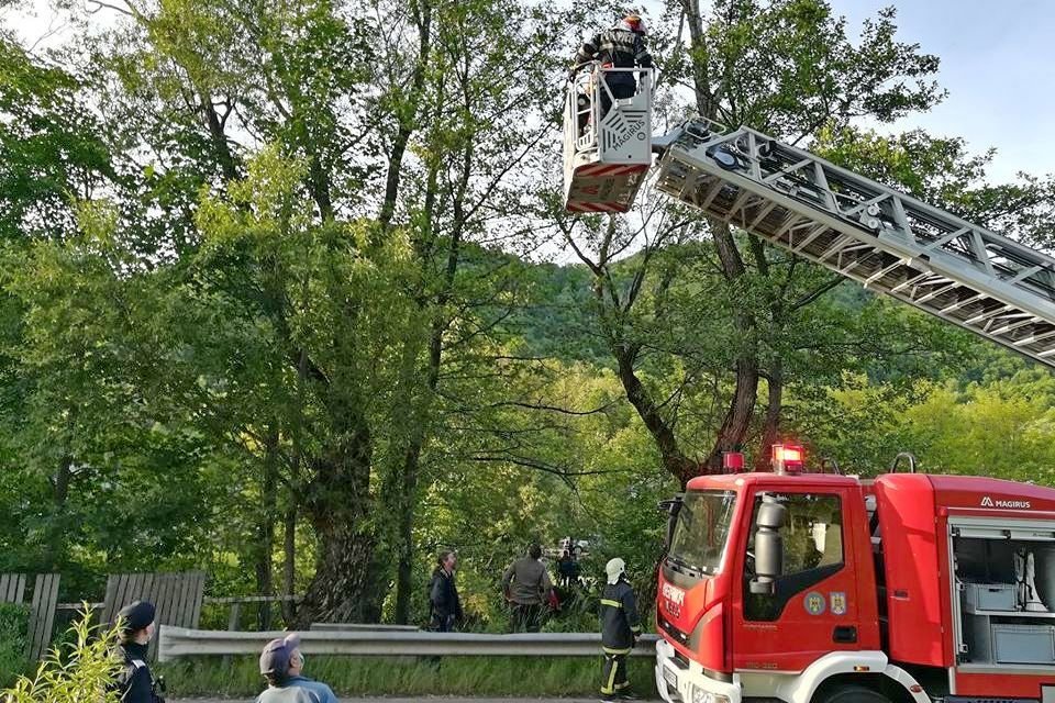 •  Fotó: Libánfalva Polgármesteri Hivatala