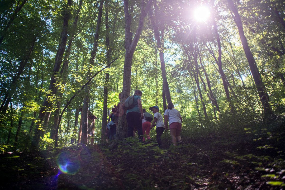 Képünk illusztráció &bullet;  Fotó: Sóki Tamás/MTI