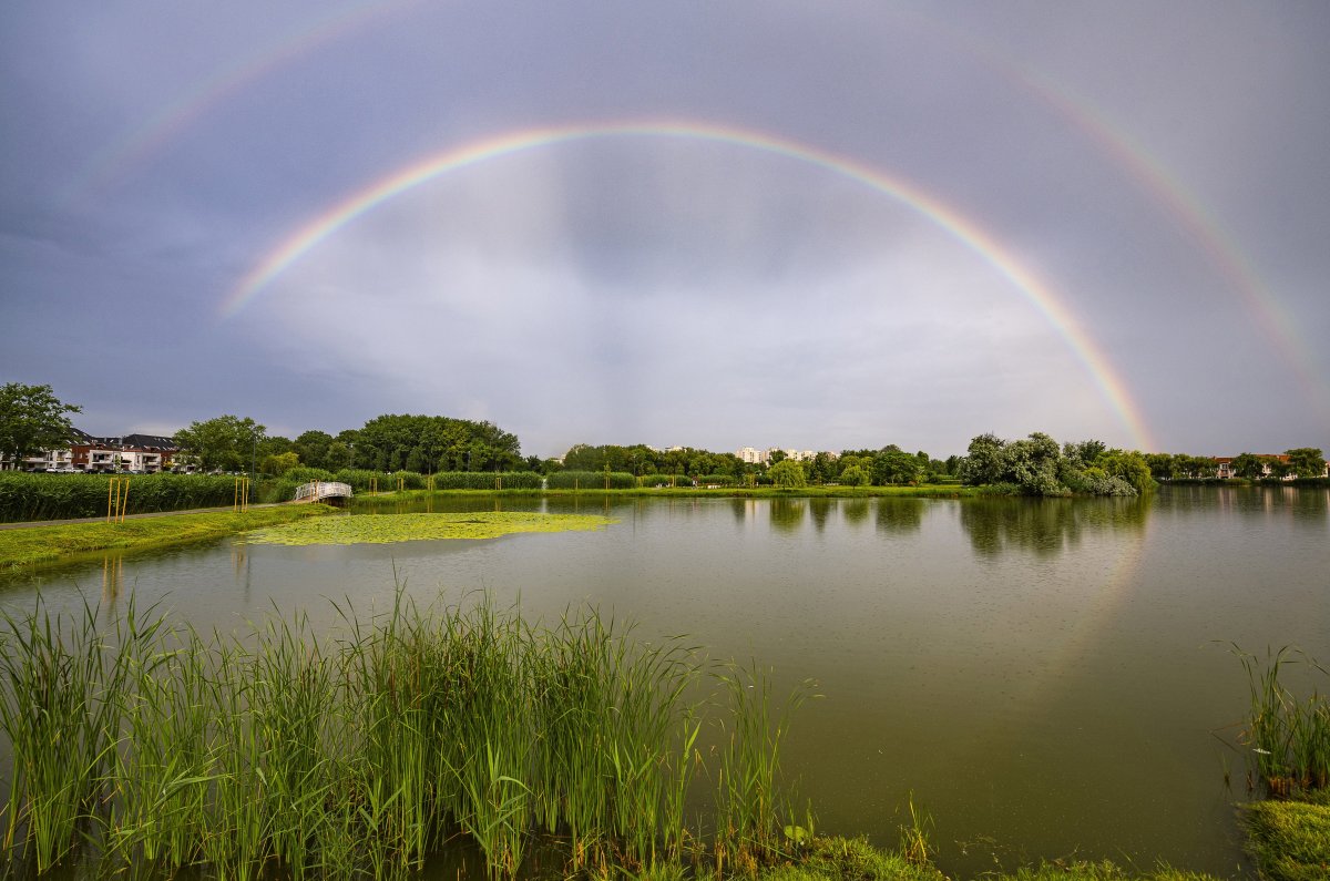 Képünk illusztráció &bullet;  Fotó: Balázs Attila/MTI