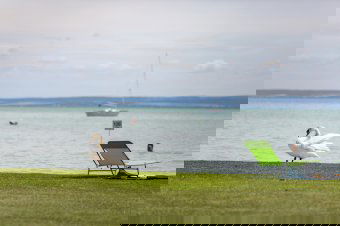 Ne etessék a strandolók, kirándulók a vízimadarakat, árthatnak az állatoknak – figyelmeztetnek madárvédelmi szakemberek