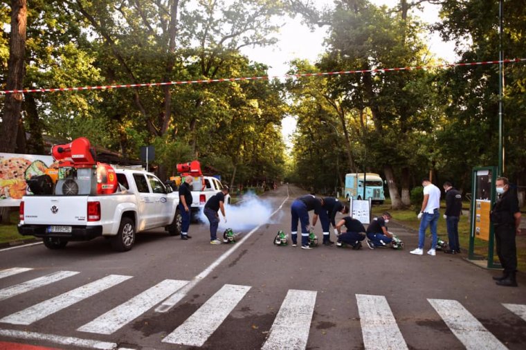 Lezárták a Somostetőt, irtják a darazsakat