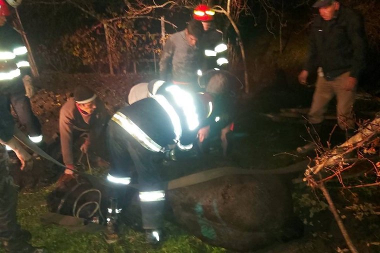 Kútból mentettek ki egy lovat a tűzoltók
