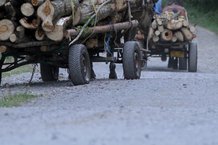 Finomítani kell a fanyomkövető rendszeren – Türelmi időt kérnek a vállalkozók