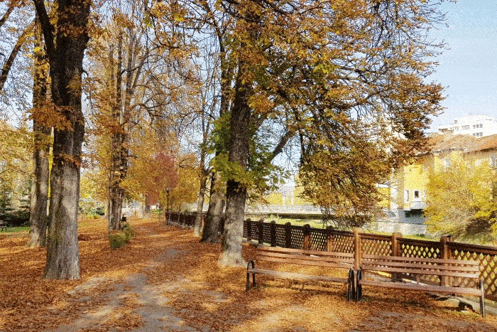 Két évszak, négy kép