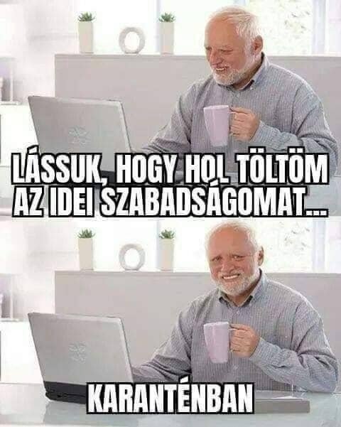 Hide The Pain Harold. Ki gondolná, hogy magyar származású a népszerű mémfigura? 