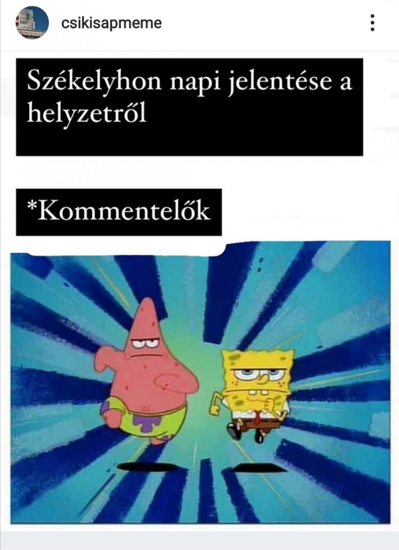 Lapcsaládunk hírportálja, a Székelyhon.ro is adott ihletett egy-egy mémhez. • Forrás: csikisapmeme/Instagram 