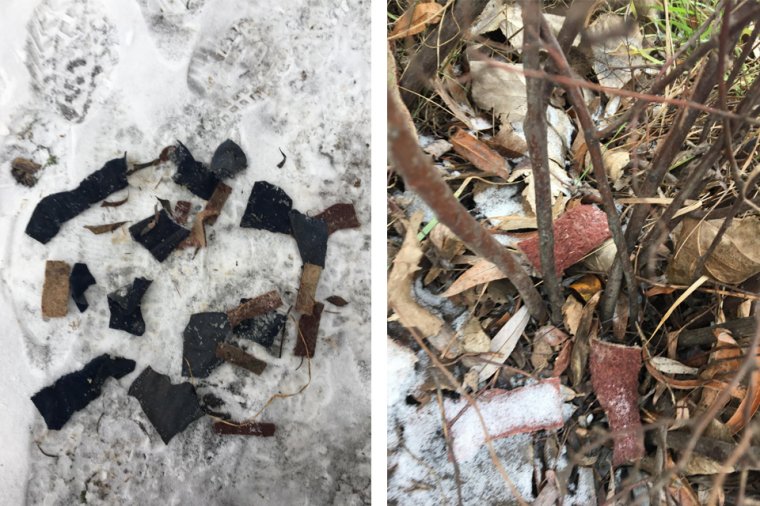 Mindeközben Székelyudvarhelyen: kutyákat akarnak mérgezni a parkban?