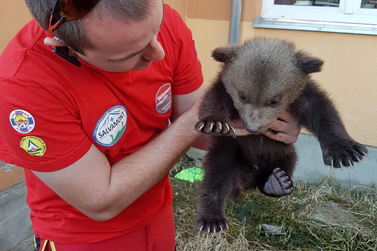 •  Fotó: Szentegyházi hegyimentő-alakulat