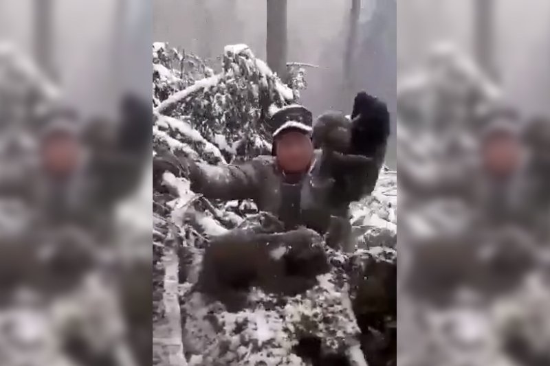 •  Fotó: Facebook/Casa lui Patrocle – Animal Rescue
