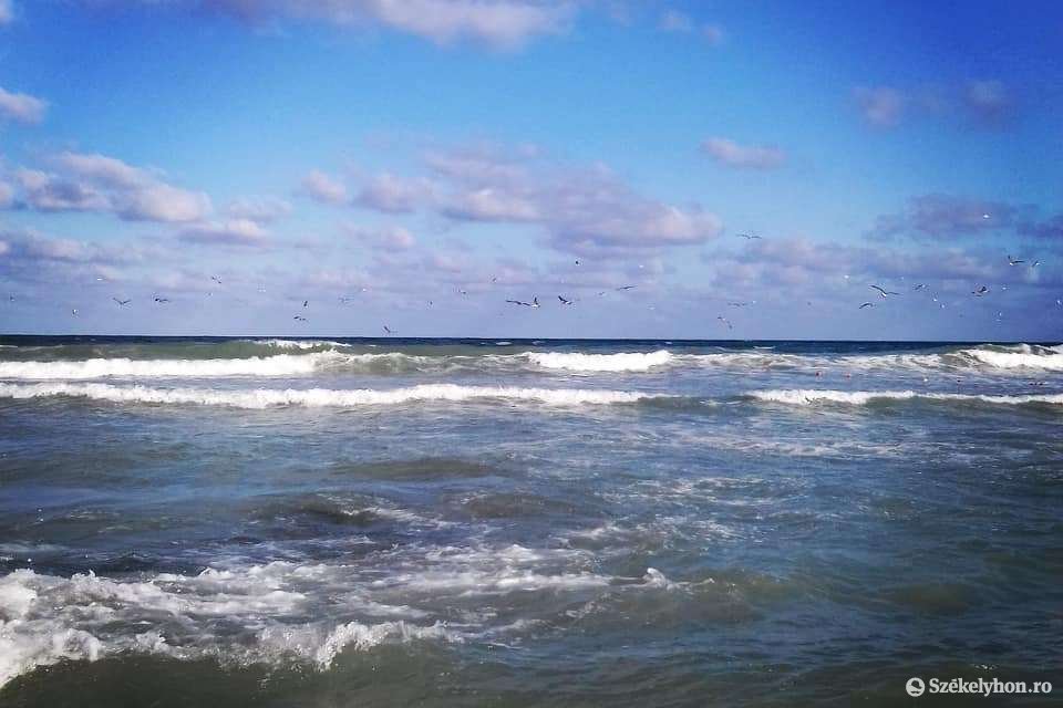 •  Fotó: Antal Erika