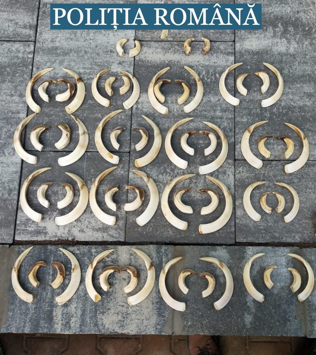 &bullet;  Fotó: Kovászna megyei rendőrség