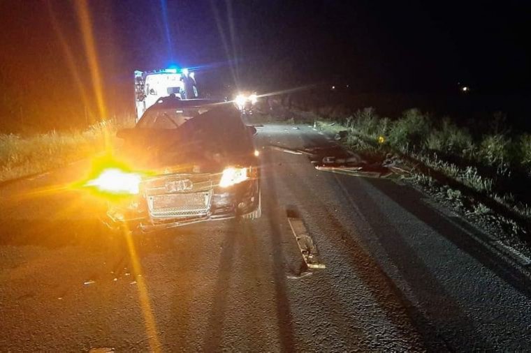 Megijedt ló okozhatta a több kiskorú sérülésével járó balesetet