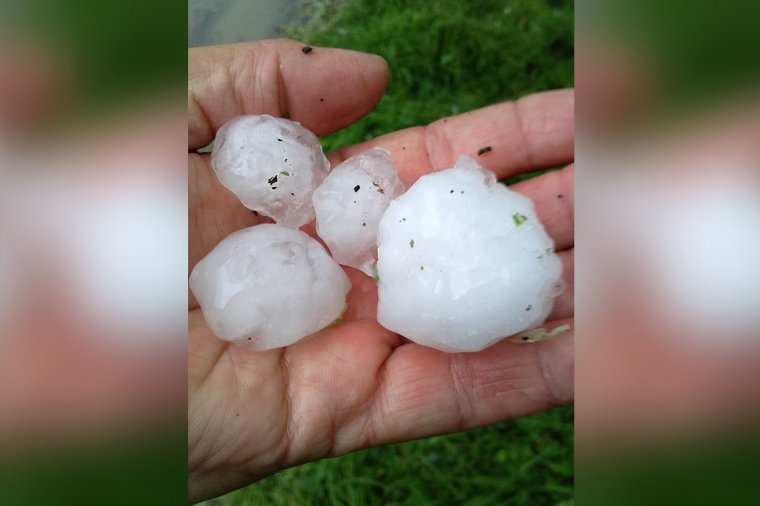 Szinte semmit nem kímélt a jég Lázárfalván