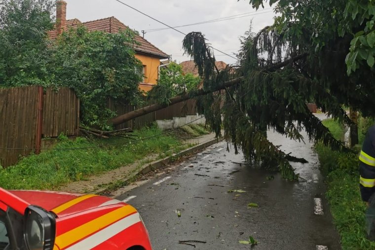Kidőlt fák, elárasztott udvarok a hétfői vihar után – fotók