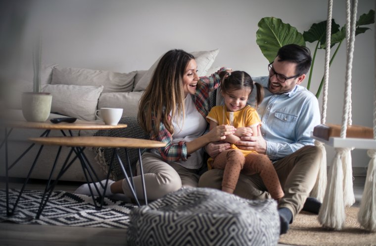 Hogyan biztosítson otthona számára fix árat a villamos energiáért 12 hónapra? (x)