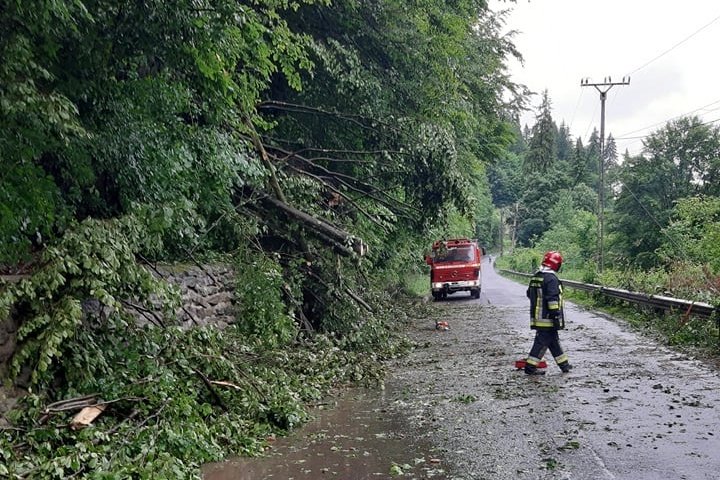 Fák dőltek az útra Szentegyháza és Lövéte között