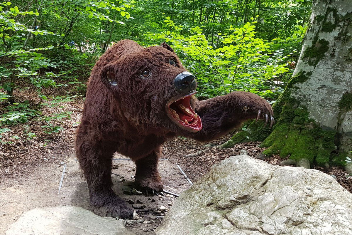 Medvemakett a Brassóhoz közeli barcarozsnyói dinóparkban. Az állatok védelmében •  Fotó: Székelyhon