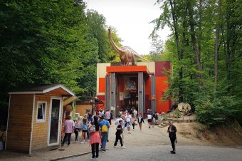 Új megalátványosság a barcarozsnyói dinóparkban – videóval