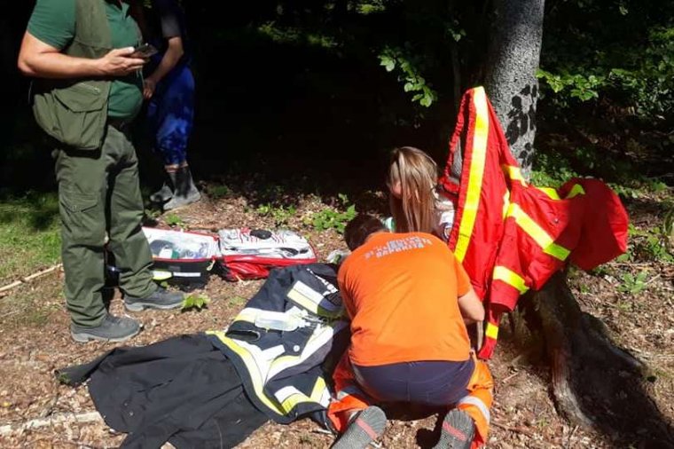 Hűséges kutyája mentette meg az eltévedt asszonyt