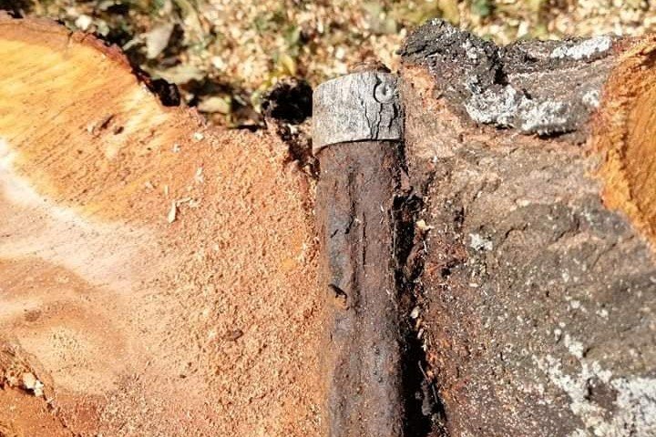 Fatuskóból került elő a második világháborús gránátvető