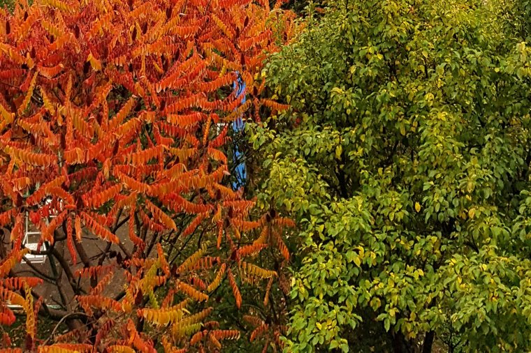 Enyhe felmelegedést is tartogat az október végi változékony időjárás